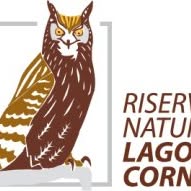 Foto di Riserva Naturale Regionale del Lago di Cornino