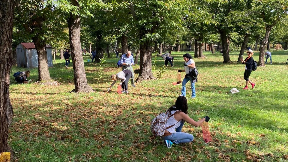 Evento Raccolta delle castagne e Sagra della Varola a Melfi Locandina Raccolta delle castagne e Sagra della Varola a Melfi - domenica 19 ottobre ore 09:00 - 20:00