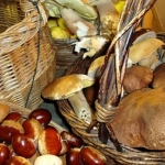 Sagra della Castagna del Partenio e del Fungo Porcino. Pannarano (BN) Sagra della Castagna del Partenio e del Fungo Porcino. Pannarano (BN) a Pannarano (BN) il 31 ottobre ottobre - 2 novembre 2025