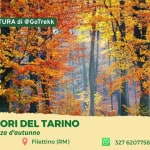 Tra i colori del Tarino Tra i colori del Tarino a Filettino (FR) il 26 ottobre 2025