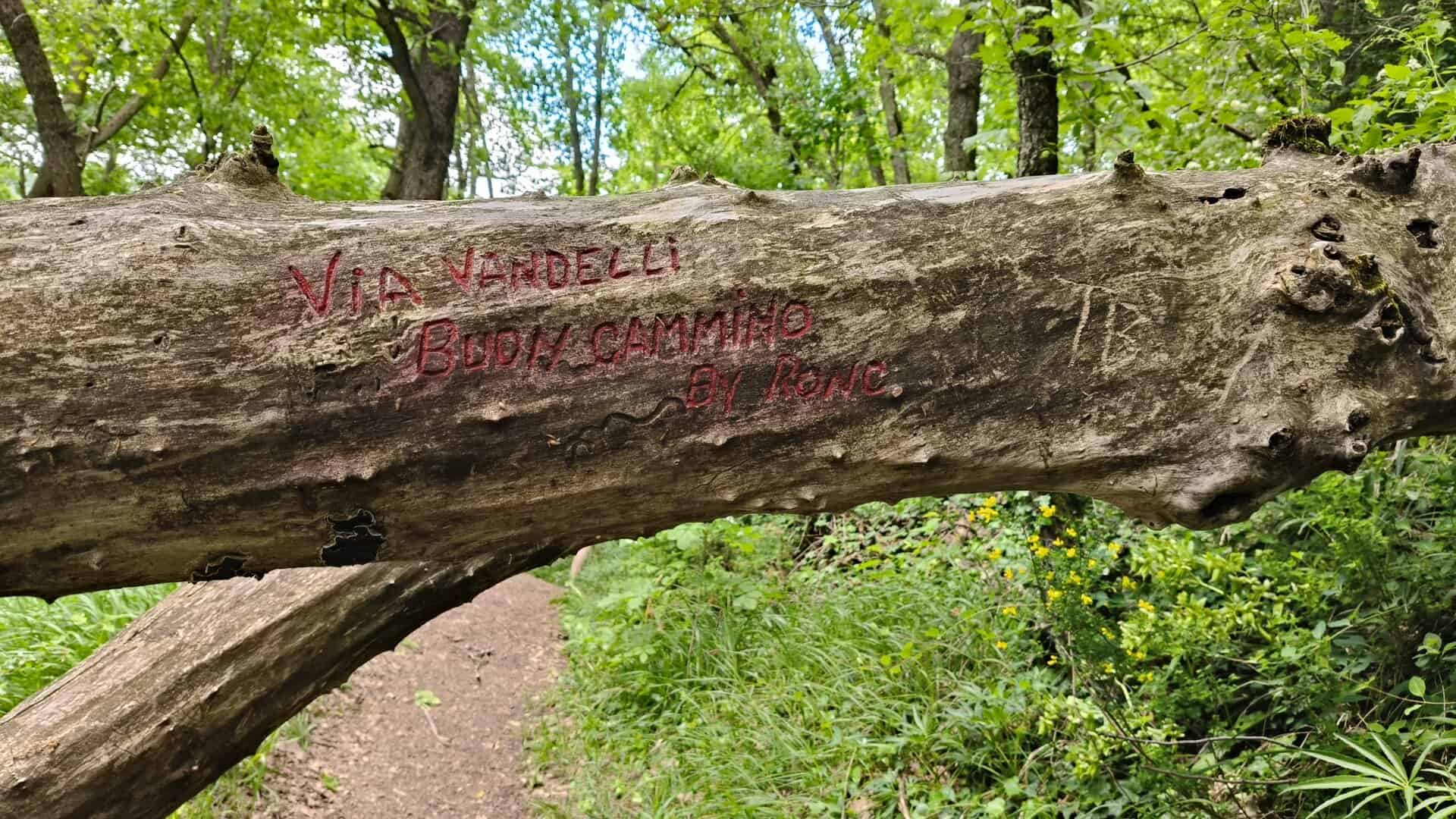 Via Vandelli Extreme 2026 Potrebbe essere un'immagine raffigurante albero e testo
