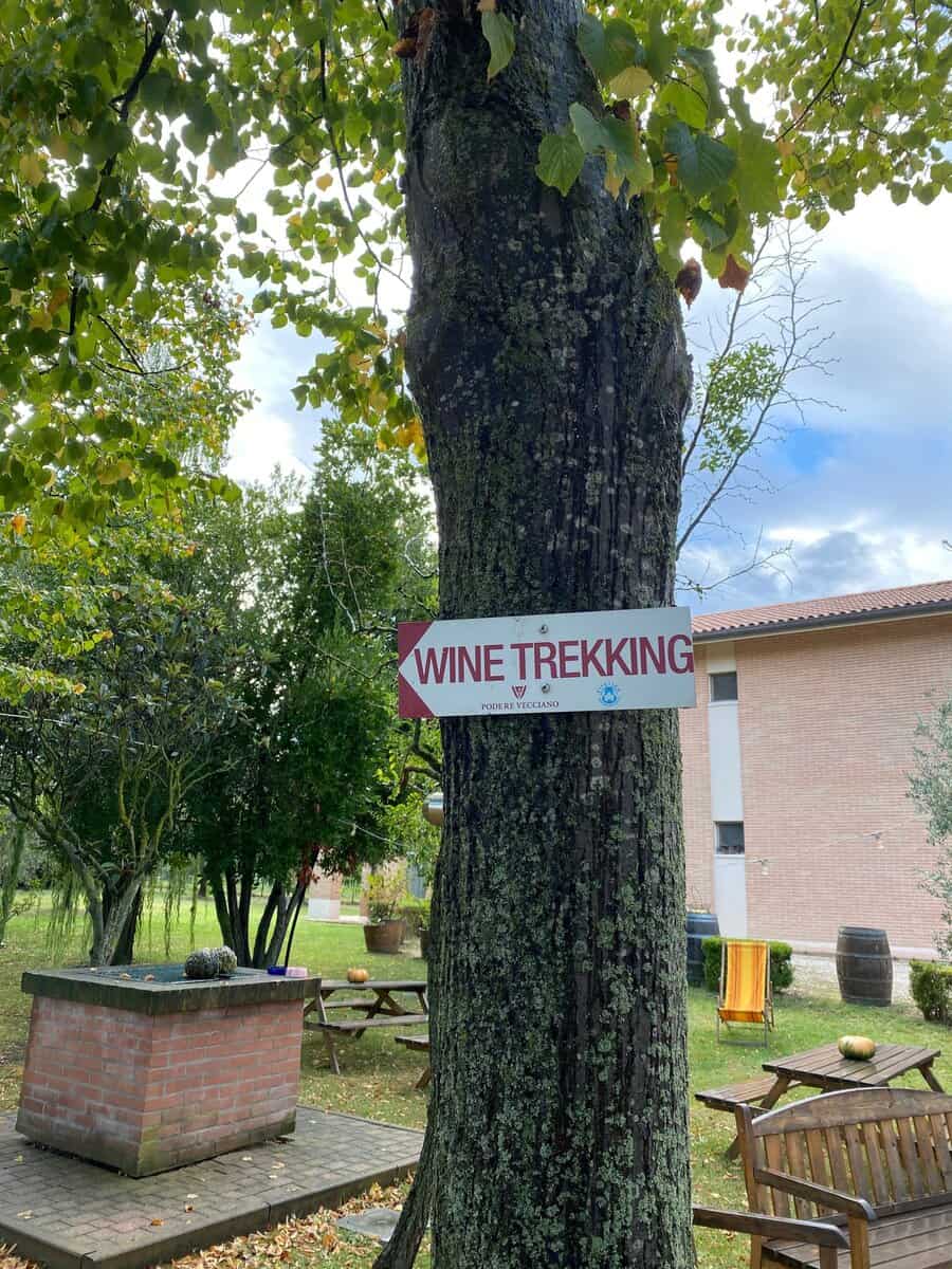 Evento Wine Trekking Locandina Wine Trekking - sabato 1 novembre ore 15:00 - 19:00