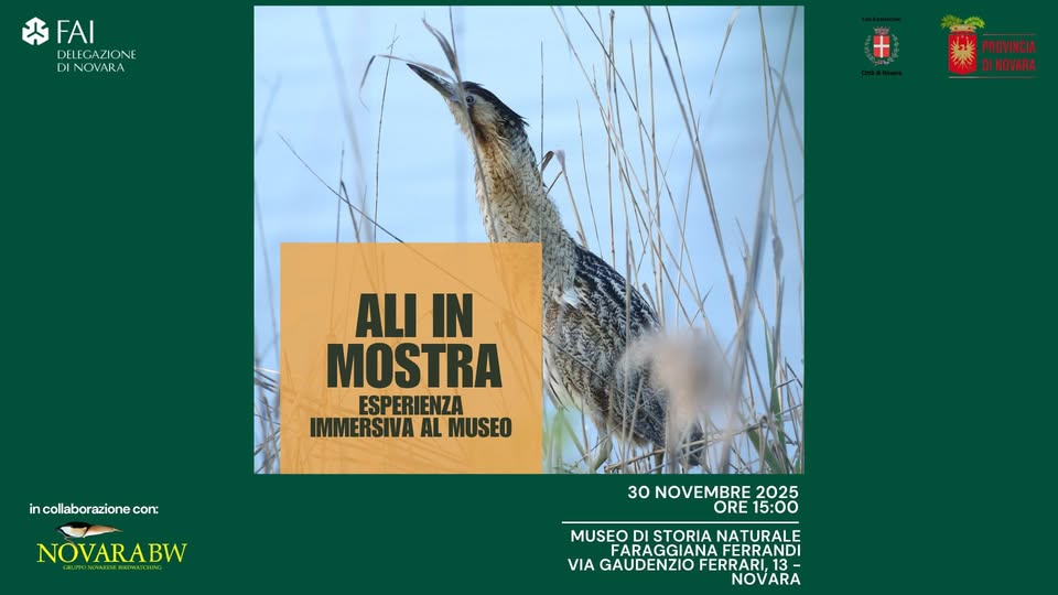 Ali in mostra: esperienza immersiva al Museo Potrebbe essere un'immagine raffigurante sturnella, bucerotide e il seguente testo "FAI DELEGAZIONE DI INOVARA + サ 黑PROVINCIA PROVINCIA DINOVARA ALI IN MOSTRA ESPERIENZA IMMERSIVA AL MUSEO incollaborazionec in COC NOVARABW เ EN 30NOVEMBRE2025 30 ONOVEMBRE 2025 ORE 15:00 MUSEO DI STORIA NATURALE FARAGGIANAF ARAGGIANAFERRANDI FERRANDI GAUDENZIO FERRARI, GAUDENZIOFERRARI,13 FERR Νον NOVARA ARA"