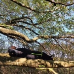 Anello: la Faggeta Canfaito bagno di Foresta Anello la Faggeta Canfaito bagno di Foresta a Ancona (AN) il 17 ottobre 2026