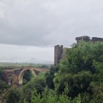 Archeo Trekking a Vulci con la Tomba Francois Archeo Trekking a Vulci con la Tomba Francois a Montalto di Castro (VT) il 22 febbraio 2026
