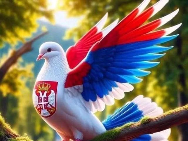Evento Brojanica Locandina Brojanica - venerdì 15 maggio ore 10:00 - 00:00