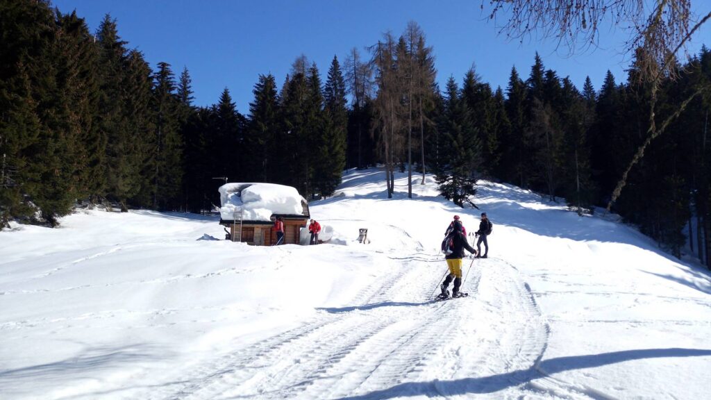 Ciaspolata tra Nemes e Coltrondo nel cuore del Comelico Potrebbe essere un'immagine raffigurante pista da sci