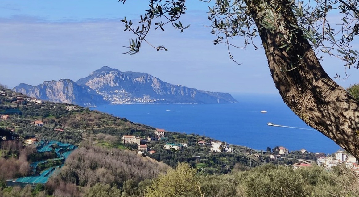 Evento Gli angoli nascosti di Sant’Agata sui Due Golfi Locandina Gli angoli nascosti di Sant’Agata sui Due Golfi - domenica 14 dicembre ore 10:00 - 14:30