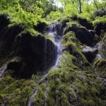 La Valle delle Ferriere: tra incanto e poesia La Valle delle Ferriere tra incanto e poesia a Scala (SA) il 20 settembre 2026