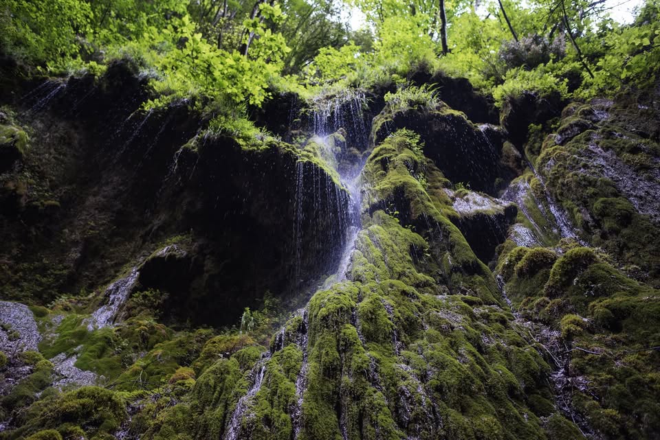 Evento La Valle delle Ferriere tra incanto e poesia Locandina La Valle delle Ferriere tra incanto e poesia - domenica 20 settembre ore 09:30 - 15:00
