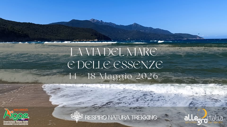 La Via del Mare & delle Essenze Potrebbe essere un'immagine raffigurante orizzonte, oceano, spiaggia e il seguente testo "LA LAVIADELM VIAD DEL MARE DELLE ESSENZE 14 18Maggio202 18 Maggio 2026 Aigae SSOCIATA GUIDAASSOCIATA- GUIDA 사 Associazione AmbientaliEscursionistiche AssociacioneLialanaGuide Mtaliana Guide Ambiental Escursionistiche S0 1α00Ω αδόν RESPIRO NATURA TREKKING alle alLegrottalia grottalia italia personal gro DOS operator ner"