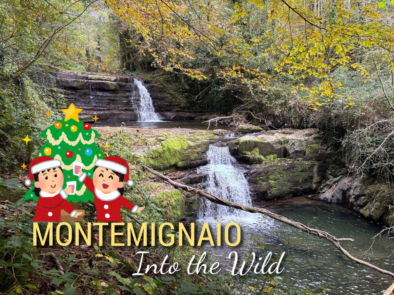 Evento Montemignaio Into the Wild Mercatini Locandina Montemignaio Into the Wild Mercatini - domenica 30 novembre ore 10:00 - 12:00
