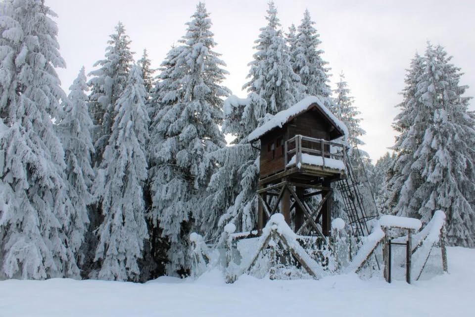 Potrebbe essere un'immagine raffigurante torre di vedetta e pista da sci
