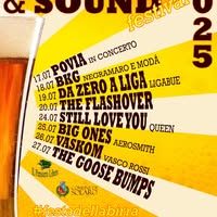 Foto di Festa della Birra Solaro