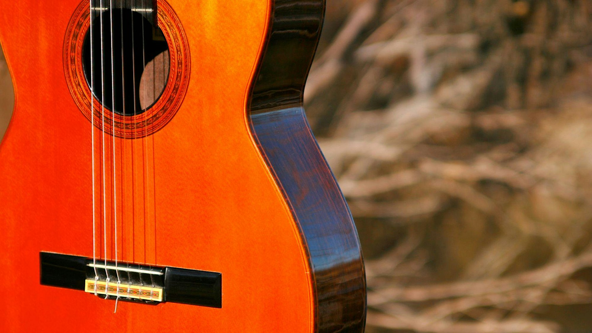 SUONI DI FINE D’ANNO – Giovani chitarre in concerto Potrebbe essere un'immagine raffigurante chitarra