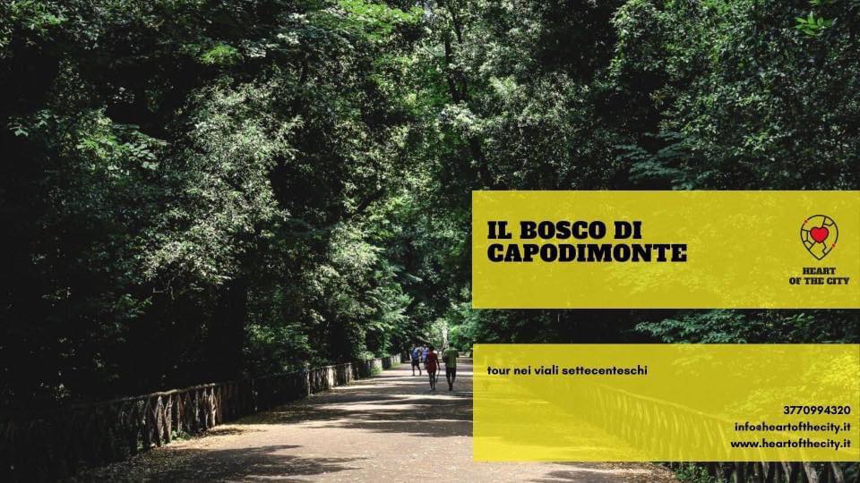 Evento Tour nel Bosco di Capodimonte Locandina Tour nel Bosco di Capodimonte - domenica 21 giugno ore 10:30 - 12:30