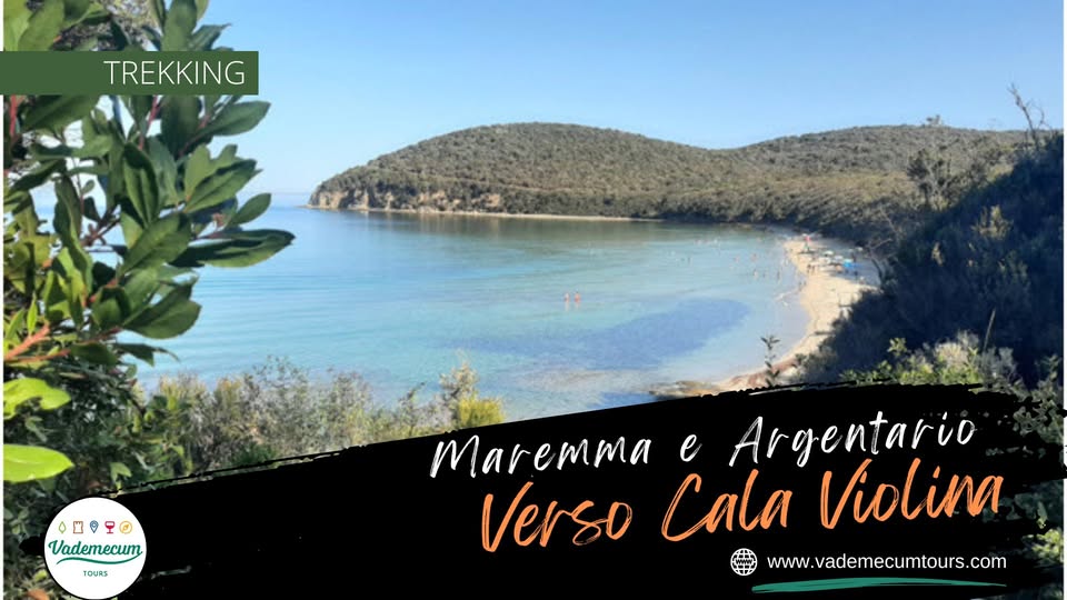 Evento Verso Cala Violina Locandina Verso Cala Violina - domenica 14 dicembre ore 10:00 - 15:00