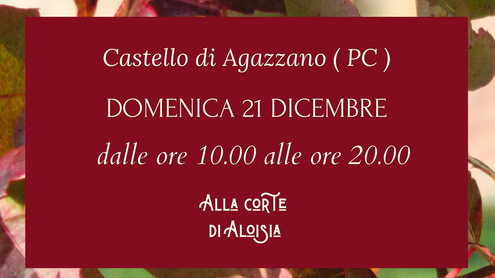 Alla Corte di Aloisia Potrebbe essere un'immagine raffigurante il seguente testo "Castello di Agazzano (PC) DOMENICA 21 DICEMBRE dalle ore 10.00 alle ore 20.00 ALLA CTE DIALOISIA"