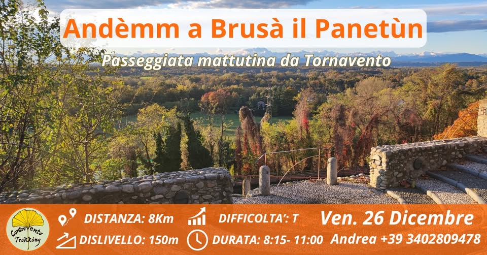 Evento Andèmm a Brusà il Panetùn (Tornavento) Locandina Andèmm a Brusà il Panetùn (Tornavento) - venerdì 26 dicembre ore 08:00 - 11:00