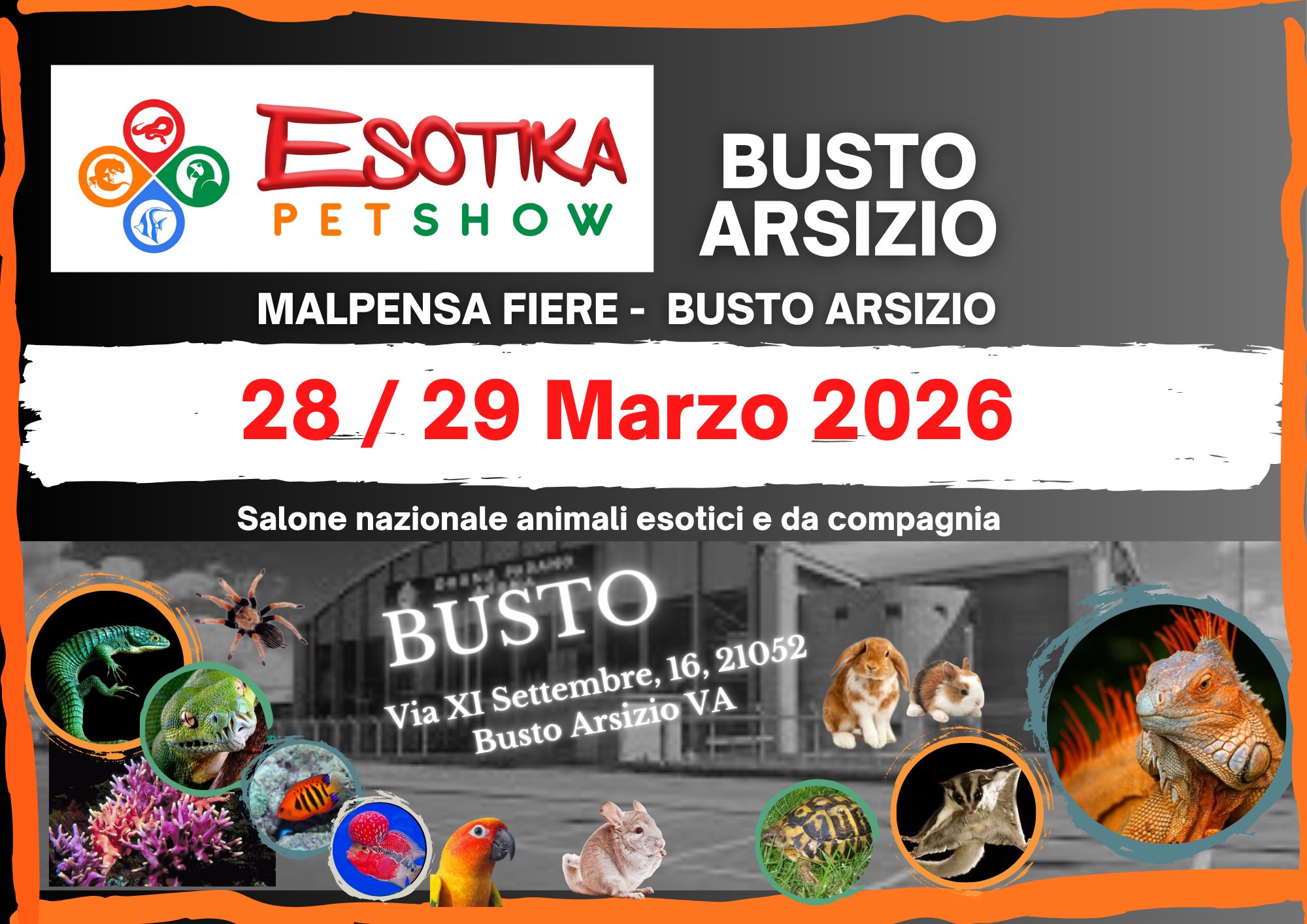 Esotika Pet Show BUSTO ARSIZIO 28/29 Marzo 2026 Potrebbe essere un'immagine raffigurante lori lento e il seguente testo "ESOTIKA PETSHOW MALPENSA FIERE- BUSTO ARSIZIO BUSTO ARSIZIO 28/ 29 Marzo 2026 Salone nazionale animali esotici e da compagnia BUSTO 16, 21052 ViaXI XI Settembre, Busto Arsizio νΑ"