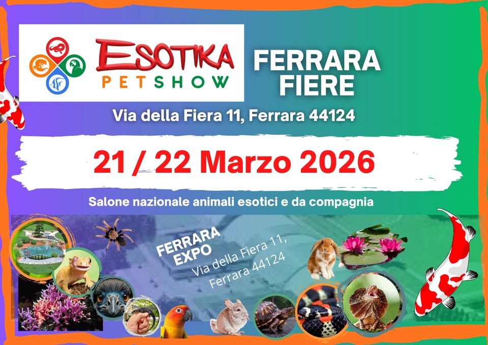 Esotika Pet Show FERRARA 21/22 Marzo 2026 Potrebbe essere un'immagine raffigurante il seguente testo "ESOTIKA FERRARA PETSHOW FIERE Via della Fiera 11, Ferrara 44124 21/22 22 Marzo 2026 Salone nazionale animali esotici e da compagnia FERRARA EXPO della Fiera Fiera11, 11, Via Ferrara 44124 VIIINY i"