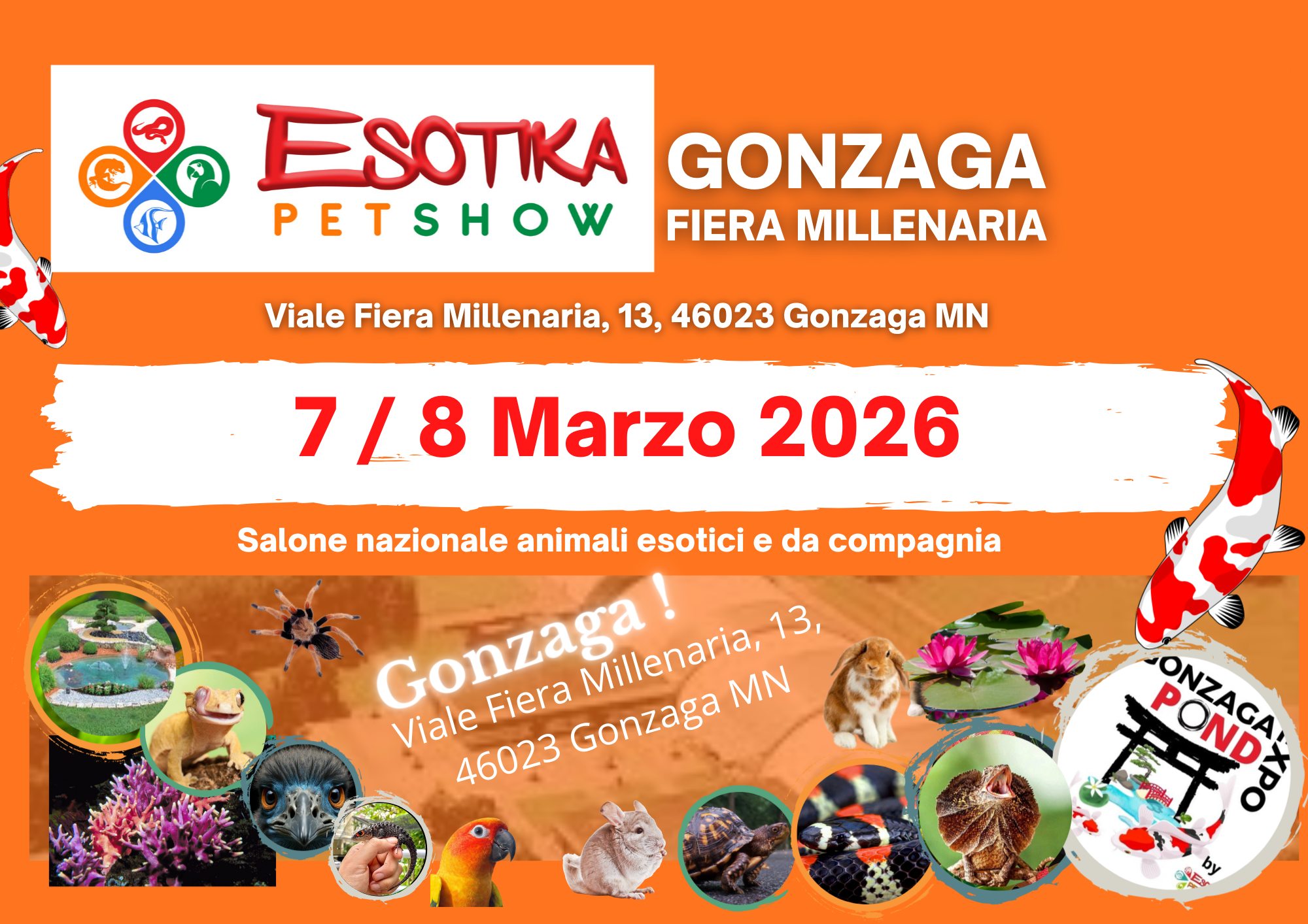 Potrebbe essere un'immagine raffigurante il seguente testo "ESOTIKA GONZAGA PETSHOW FIERA MILLENARIA Viale Fiera Millenaria, 13, 46023 Gonzaga N 7/8 Marzo 2026 Salone nazionale animali esotici e da compagnia Gonzaga Gonzaga 13, Viale Fiera 46023 Gonzaga Millenaria, MN ET 活 POND 한반합영수 ONZAGA PONG ONZAGA O BNE by"