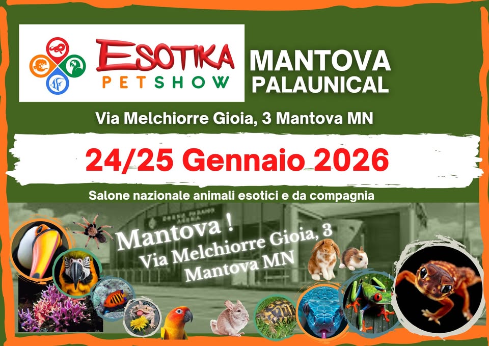 Potrebbe essere un'immagine raffigurante il seguente testo "ESOTIKA MANTOVA PETSHOW PALAUNICAL Via Melchiorre Gioia, 3 Mantova MN 24/25 Gennaio 2026 Salone nazionale animali esotici e da compagnia Mantova! Gioia, 3 Via Mantova Melchiorre MN"