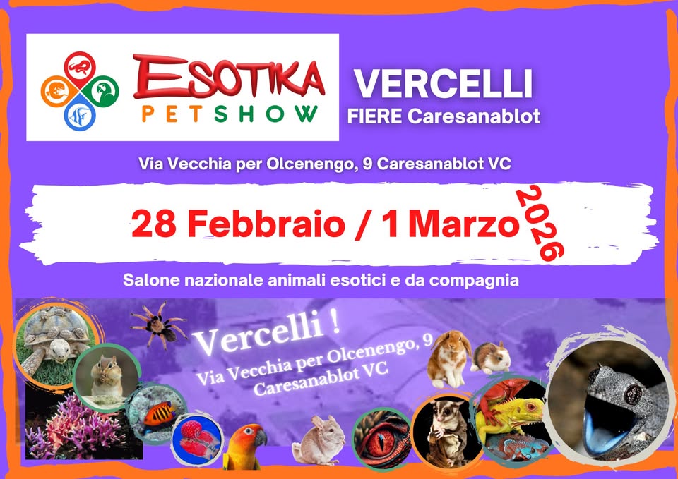 Esotika Pet Show VERCELLI 28 Febbraio / 1 Marzo 2026 Potrebbe essere un'immagine raffigurante il seguente testo "ESOTIKA VERCELLI PETSHOW FIERE Caresanablot 28 Febbraio Via Vecchia per Olcenengo, 9 Caresanablot vc 1 Marzo 206 Salone nazionale animali esotici e da compagnia per Vercelli! Olcenengo, 9 Via Vecchia Caresanablot Caresanablotv VC"