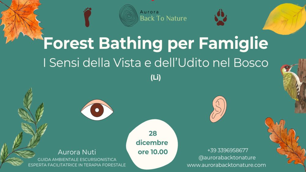 Evento Forest Bathing per Famiglie i Sensi della Vista e dell’Udito nel Bosco (Li) Locandina Forest Bathing per Famiglie i Sensi della Vista e dell’Udito nel Bosco (Li) - domenica 28 dicembre ore 10:00 - 14:30