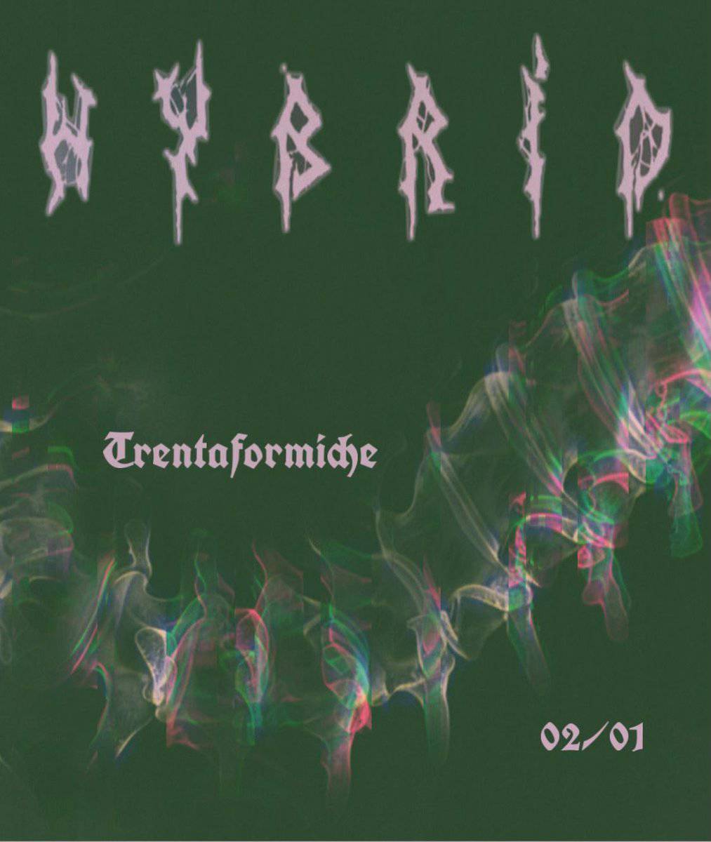 Potrebbe essere un'immagine raffigurante il seguente testo "好料事程 Trentaformiche aformide Trenta 02/01 01 02"