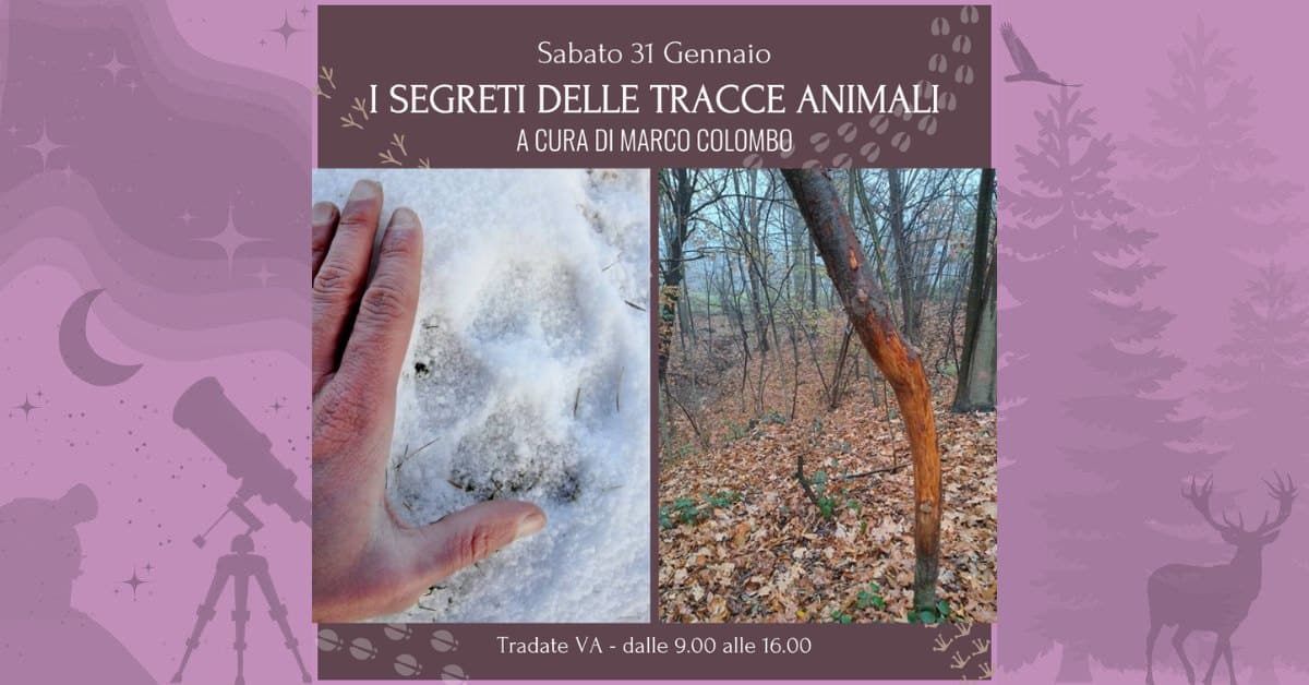 Evento I segreti delle tracce animali Locandina I segreti delle tracce animali - sabato 31 gennaio ore 09:00 - 16:00
