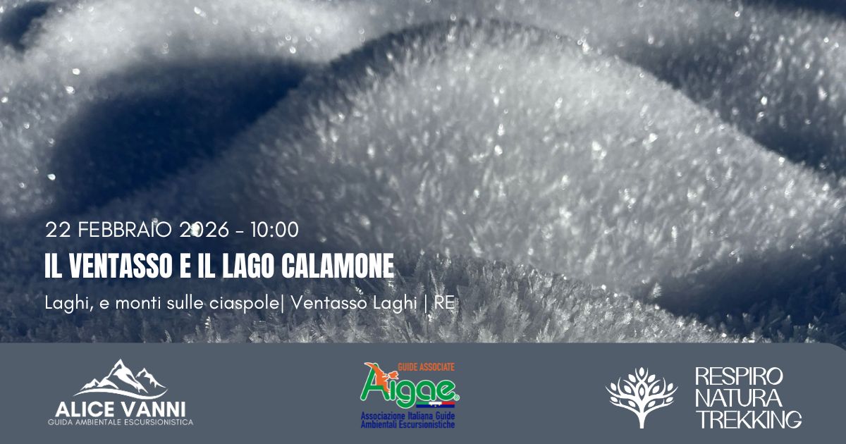 Il Ventasso e il Lago Calamone Potrebbe essere un'immagine raffigurante pista da sci e il seguente testo "22 FEBBRATO 2026- 2026-10:00 10:00 IL VENTASSO E IL LAGO CALAMONE Laghi, e monti sulle ciaspole| Ventasso Laghi RE ALICEVANNI ALICE VANNI CUIDAHBIENTAEESCURSIONISTICA NIS GUIDA ESCURSIONISTICA Aigae ИOE ASSOCIATE RESPIRO NATURA TREKKING"