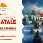🎄il Villaggio di Natale 🎁 Potrebbe essere un contenuto grafico raffigurante il seguente testo "il Giardino dei Colori presenta BL ELVILLAGGIO DI NATALE 49 OGNI SABATO E DOMENICA DAL 29 NOVEMBREAL21 DICEMBRE Prenota sul ul nostro sito www.ilgiardinodeicolori.it via azionale 129 Vallefoglia Pesaro"