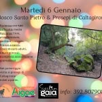 NATURA, PRESEPI E TRADIZIONE: TREKKING AL BOSCO DI SANTO PIETRO E CALTAGIRONE Natura, Presepi E Tradizione Trekking Al Bosco Di Santo Pietro E Caltagirone a Caltagirone (CT) il 6 gennaio 2026