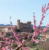 Foto di Visit Longiano