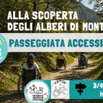 Passeggiata e Raccolta: A caccia di “Erbi” Spontanei Mangerecci ! Potrebbe essere un'immagine raffigurante il seguente testo "SABATO 7/2 PASSEGGIATA E RACCOLTA A CACCIA D'ERBI SPONTANEI YOUR GREATEST EXPERIENCEL SOLO PROF PROFESSIONISTI QUALIFICATIE SIONISTI QUALIFICATIE TRIKKETE TREKKING TOSCANA കික් PRENOTA PRENOTA ORA!!! ORA!!! ရိင ALLA SCOPERTA DELLE ERBE SPONTANEE CON FOCUS SULLE COMMESTIBILI ADATTO ADATTOATUTTI A TUTTI INFO: trikketetrekking@gmail.com"