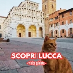 Scopri Lucca – Visita guidata Potrebbe essere un'immagine raffigurante la Torre di Pisa e il seguente testo "SP SPASSO ".ΝΙΔΝΝΑ NNA መአካ AADA SCOPRI SCOPRILUCCA LUCCA -visita guidata-"