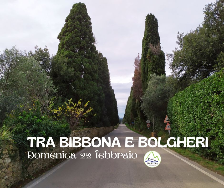 Tra Bibbona e Bolgheri Potrebbe essere un'immagine raffigurante il seguente testo "TRA ΒΙΒΒΟΝΑ E BOLGHERI Domenica 22 iebbraio PASsE NATURA"