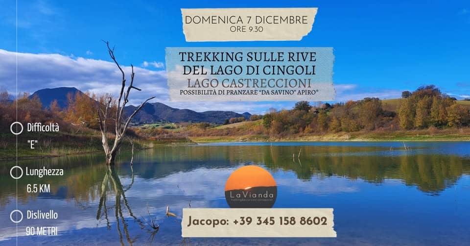 Trekking sulle sponde del Lago di Cingoli Potrebbe essere un'immagine raffigurante lago e il seguente testo "DOMENICA DOMENICA7DICEMBRE 7 DICEMBRE ORE 9.30 TREKKING SULLE RIVE DEL LAGO DI CINGOLI LAGO CASTRECCIONI POSSIBILITÀ DI PRANZARE "DA SAVINO" APIRO" Difficoltà יםיי Lunghezza 6.5 6.5KM KM Dislivello 90METRL LoVianda Jacopo: +39 345 158 Jacopo:+393451588602 8602"