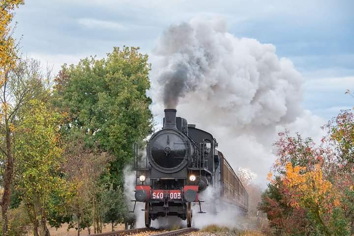 Evento Treno Storico A Vapore Da Siena A Montalcino E Ritorno – Festa Del Tordo Locandina Treno Storico A Vapore Da Siena A Montalcino E Ritorno – Festa Del Tordo - domenica 25 ottobre ore 08:30 - 10:30