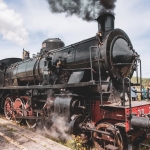 VIAGGIO IN TRENO STORICO A VAPORE DA SIENA VERSO L’AMIATA PER LA SAGRA DEL FUNGO PORCINO Viaggio In Treno Storico A Vapore Da Siena Verso L’amiata Per La Sagra Del Fungo Porcino a Siena (SI) il 11 ottobre 2026