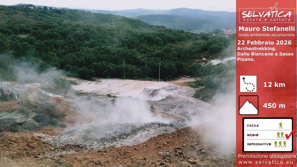 22 Febbraio – Geotermia ed archeologia. Dalle Biancane a Sasso Pisano Potrebbe essere un'immagine raffigurante Old Faithful, cratere e il seguente testo "SELVATICA natura cultura Mauro MauroStefanelli Stefanelli Guida ambientale escursionista 22 Febbraio 2026 Archeotrekking Dalle Biancane a Sasso Pisano. 12 km 450 m FACILE MEDIO IMPEGNATIVO ጽጵጵ Prenotazione obbligatoria w www.selvatica.eu"