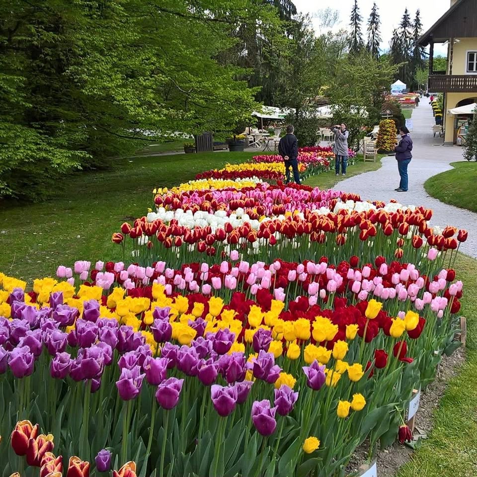 Evento 26/04/2026 Giornata A Ljubljana Arboretum Volceji Potok Locandina 26/04/2026 Giornata A Ljubljana Arboretum Volceji Potok - domenica 26 aprile ore 07:30 - 09:30