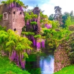 Alla scoperta della Ciociaria con Anagni, Alatri e il Giardino di Ninfa Alla scoperta della Ciociaria con Anagni, Alatri e il Giardino di Ninfa a Cisterna di Latina (LT) il 9 maggio - 10 maggio 2026