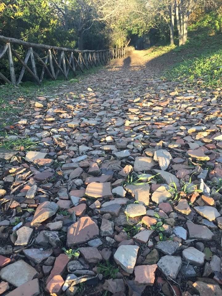 Potrebbe essere un'immagine raffigurante strada