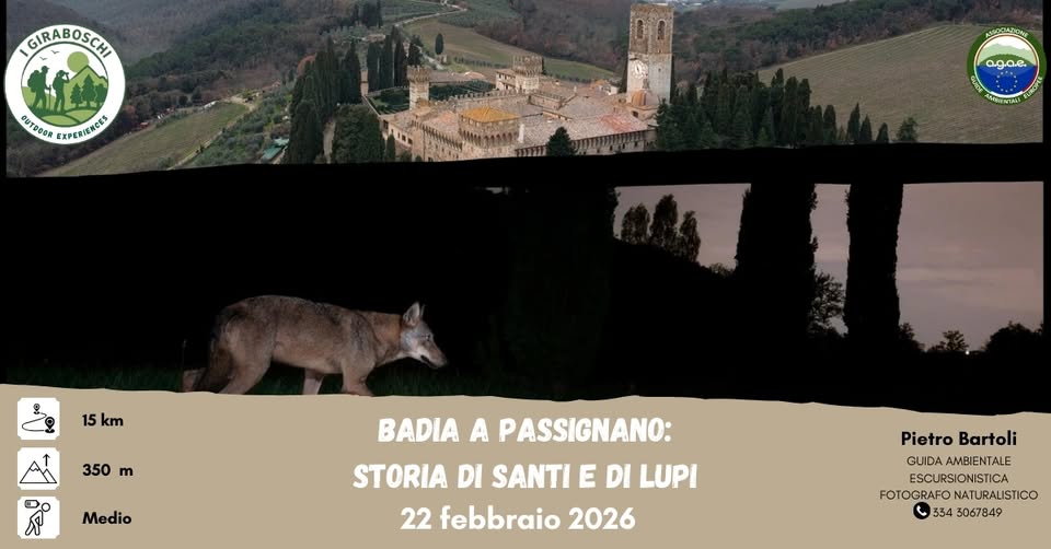 Evento Badia a Passignano Storia di Santi e di Lupi (Fi) Locandina Badia a Passignano Storia di Santi e di Lupi (Fi) - domenica 22 febbraio ore 09:45 - 18:00