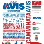 Camminata AVIS Potrebbe essere un contenuto grafico raffigurante testo