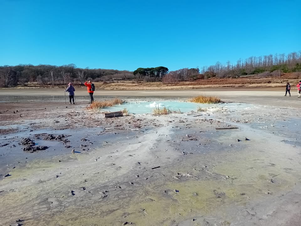Evento Cerri e caldere trekking tra i segreti di Manziana Locandina Cerri e caldere trekking tra i segreti di Manziana - domenica 25 gennaio ore 10:00 - 15:00