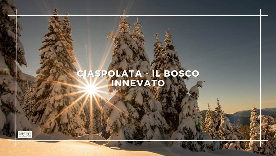 Ciaspolata – Il Bosco innevato Potrebbe essere un'immagine raffigurante pista da sci e il seguente testo "CIASPOLATA CIASPOLATA-ILBOSCO -IL IL BOSCO INNEVATO MICHELE ф"