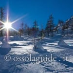 Ciaspolata sulla neve di Devero Ciaspolata sulla neve di Devero a Baceno (VB) il 25 gennaio 2026